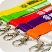 Ecusoane şi accesorii