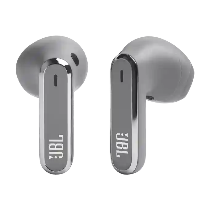 JBL Live Flex Silver