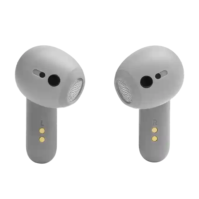 JBL Live Flex Silver