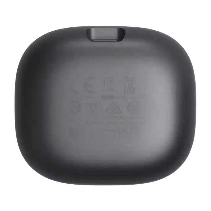 JBL Live Flex Black