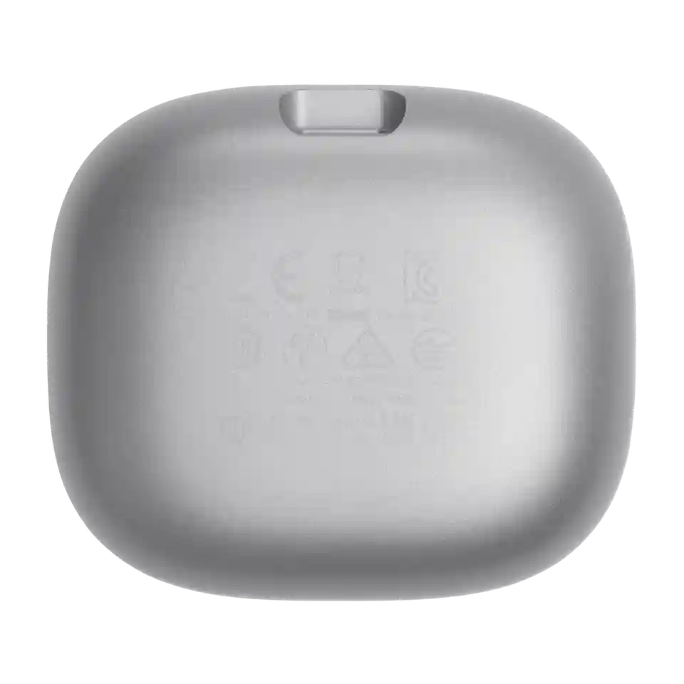 JBL Live Flex Silver