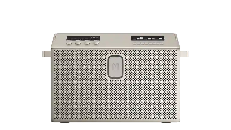 BT Speaker Large Greige