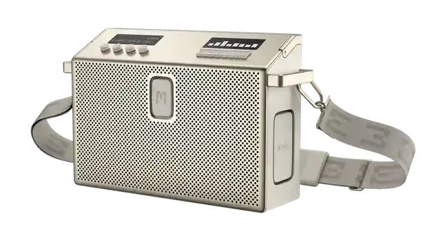BT Speaker Large Greige