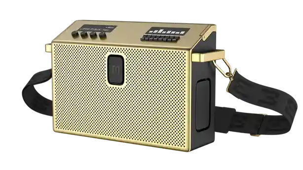 BT Speaker Large Brass
