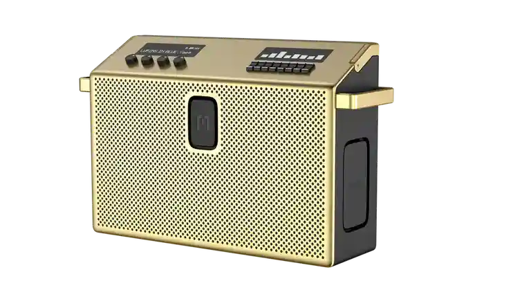 BT Speaker Large Brass