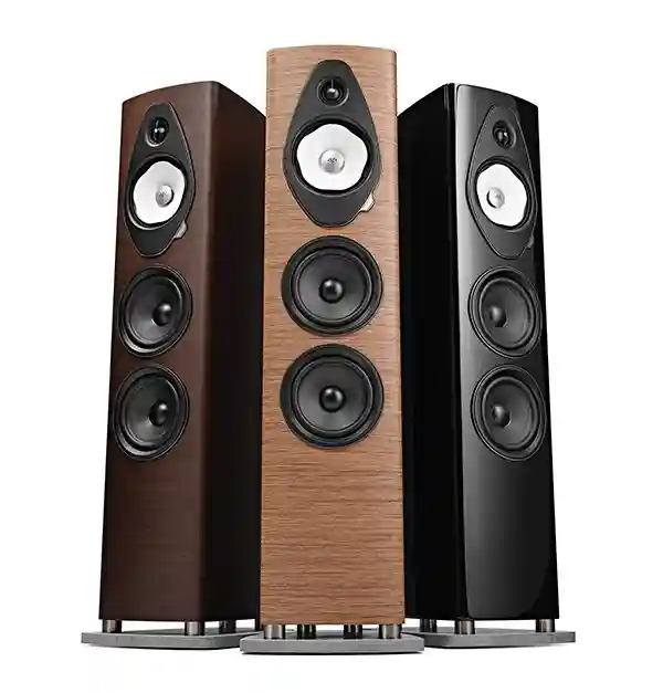 Sonus Faber Sonetto V G2