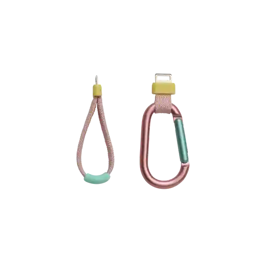 JBL Flip 7 Pink