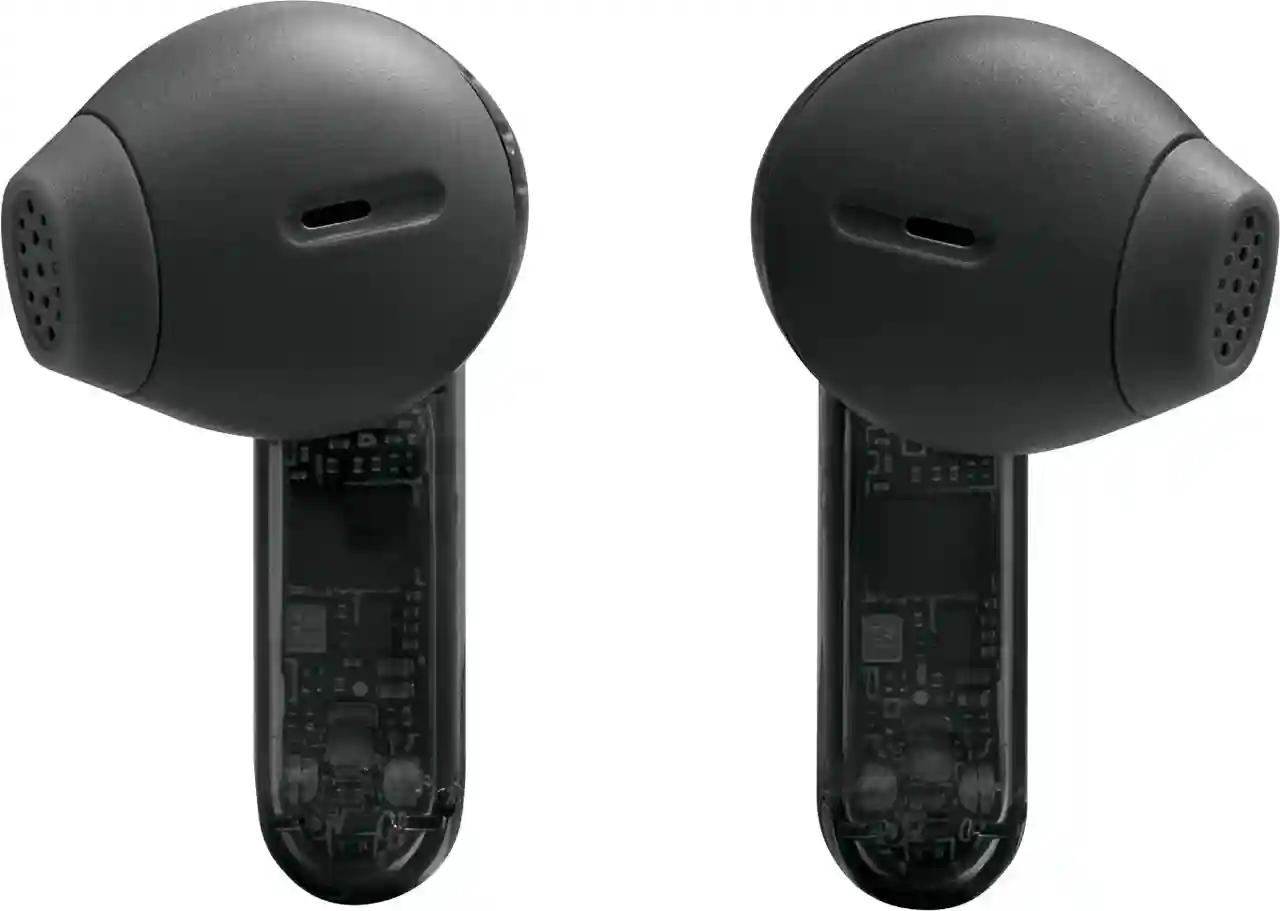 JBL Tune Flex 2 Ghost Black