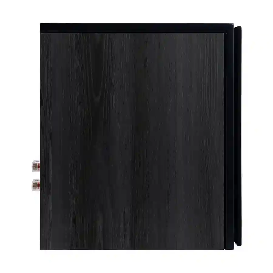 Aurora XT 300 Black / Oak