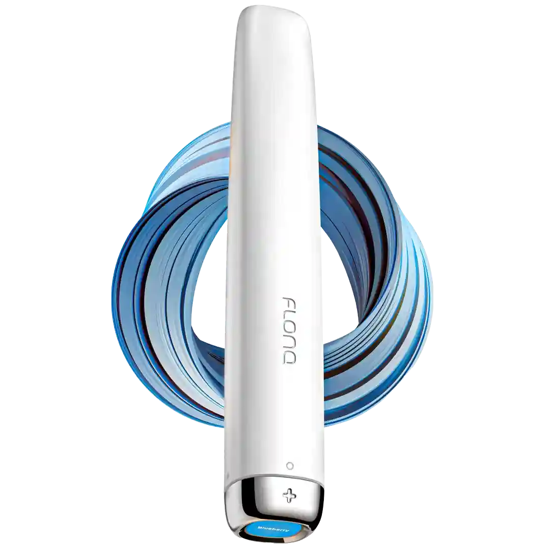 Blueberry 600 puffs