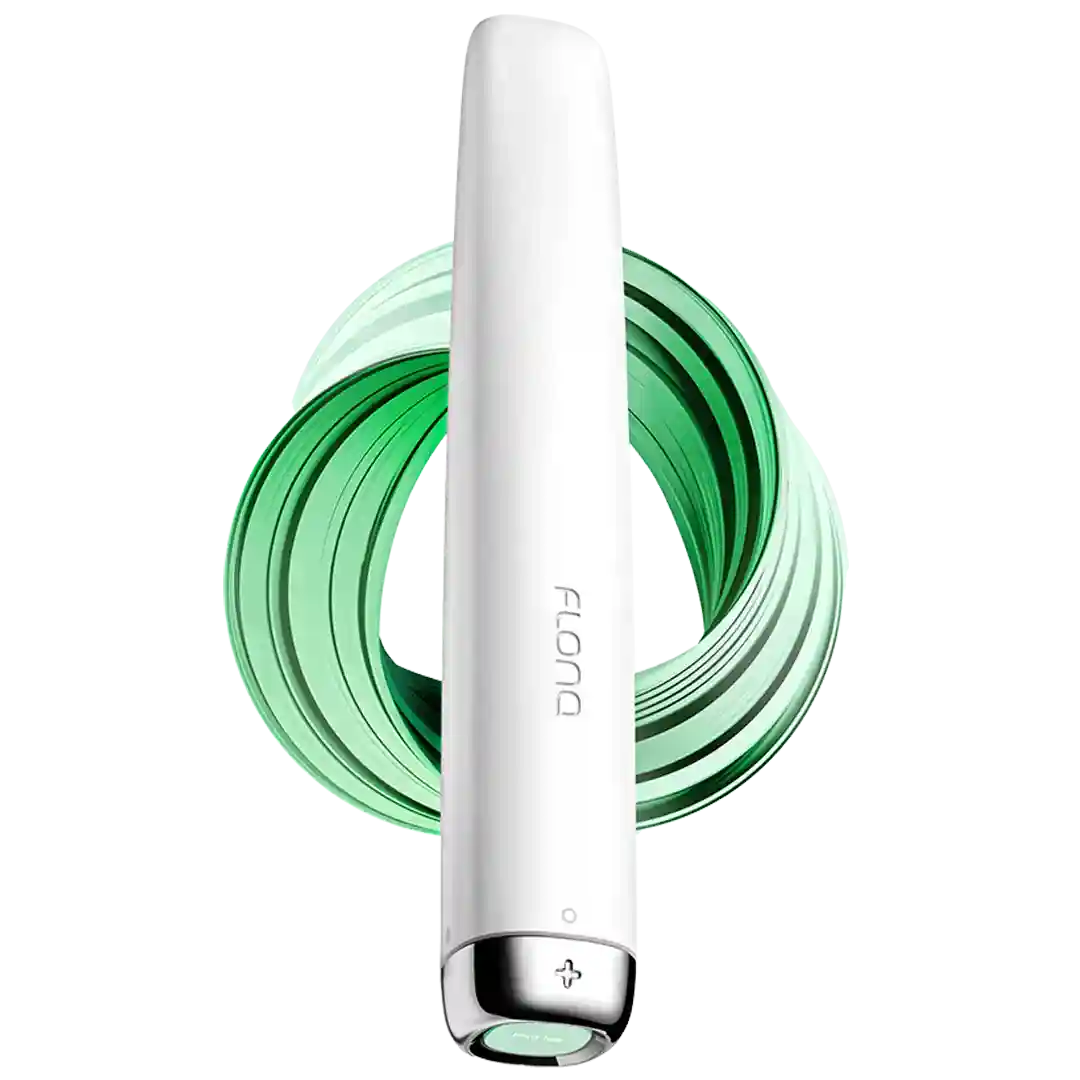 Mint Ice 600 puffs