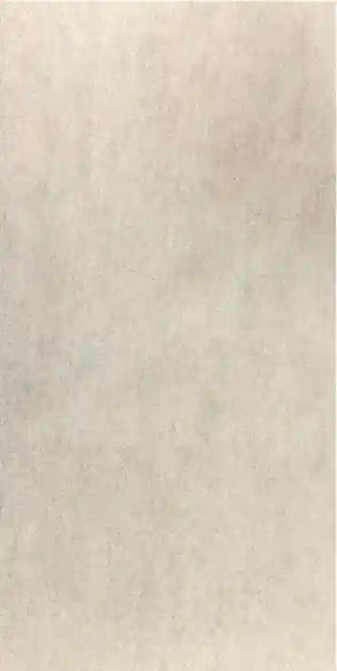 LEONARDO BONE ANTISLIP RETT 60*120