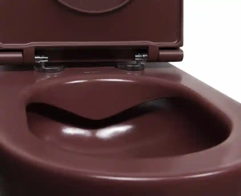 Унитаз Infinity с сиденьем, цвет бордовый (Maroon Red)