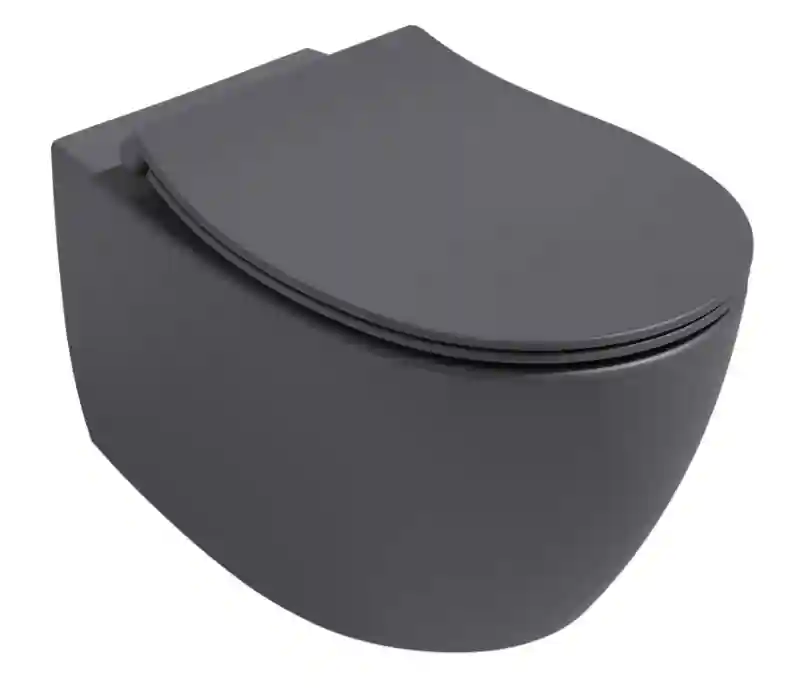 Vas de toaletă Sentimenti Neo + capac, culoare Anthracite Matt