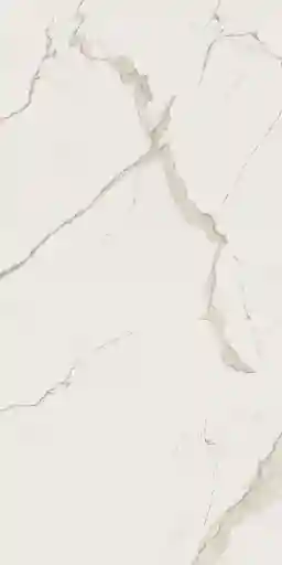 Керамогранитная плитка ALBATROS RETT POL 60*120