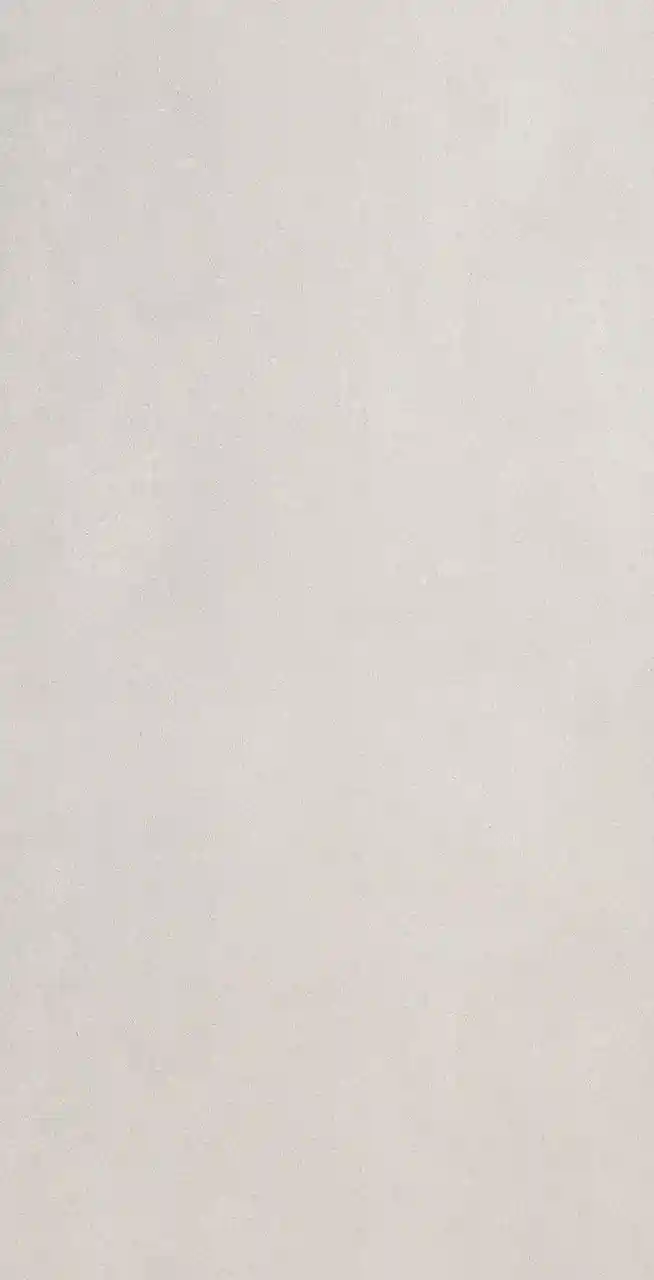 Gresie si faianta portelanata ENTINA GREY MAT 1198*598mm