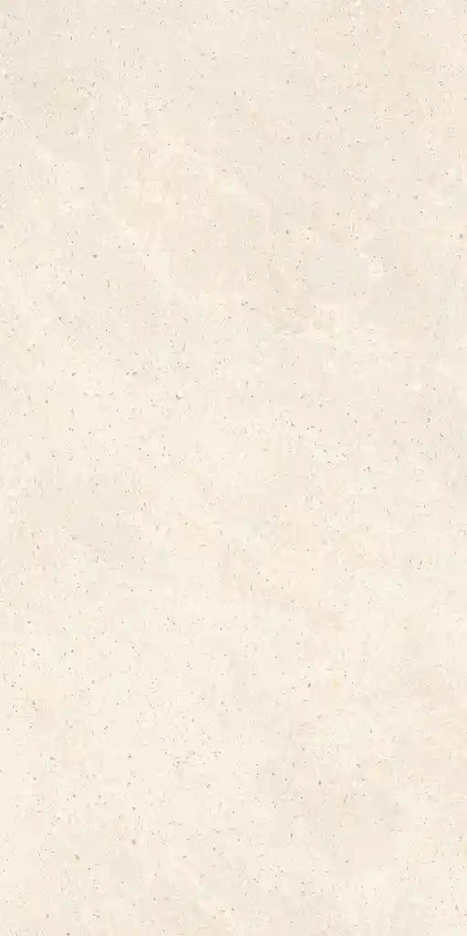 Gresie si faianta portelanata LAVISH MAT 1198*598mm