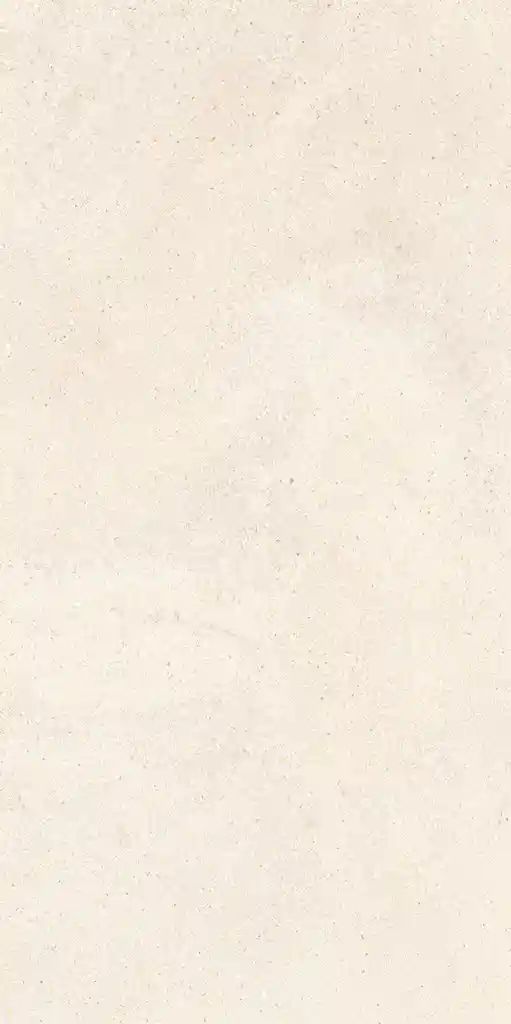 Gresie si faianta portelanata LAVISH MAT 1198*598mm
