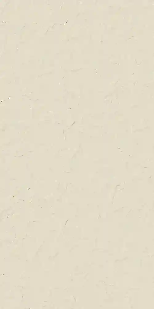 Gresie si faianta portelanata LOGAN BONE RETT 60*120