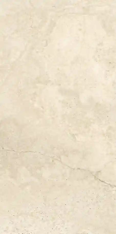 Gresie si faianta portelanata MASSA MAT 1198*598mm