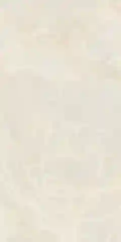 Gresie si faianta portelanata ONELYA WHITE RETT POL 60*120