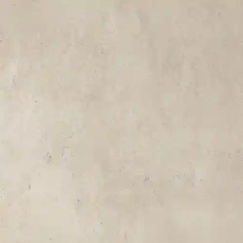 Керамогранитная плитка VISTA BONE 60x60