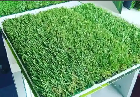 Iarba artificiala gazon verde Lucy 40