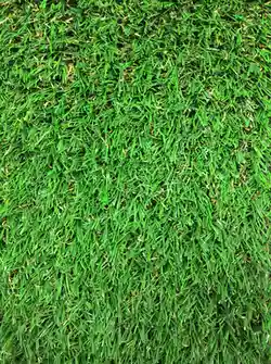 Iarba artificiala gazon verde PP 18mm