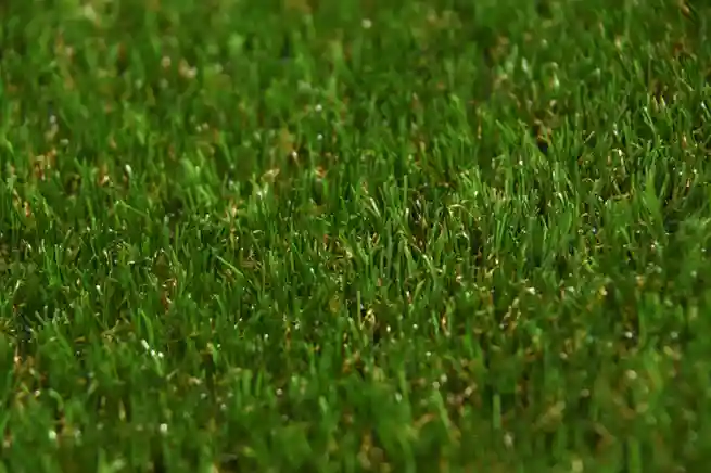 Iarba artificiala gazon verde PP 29mm