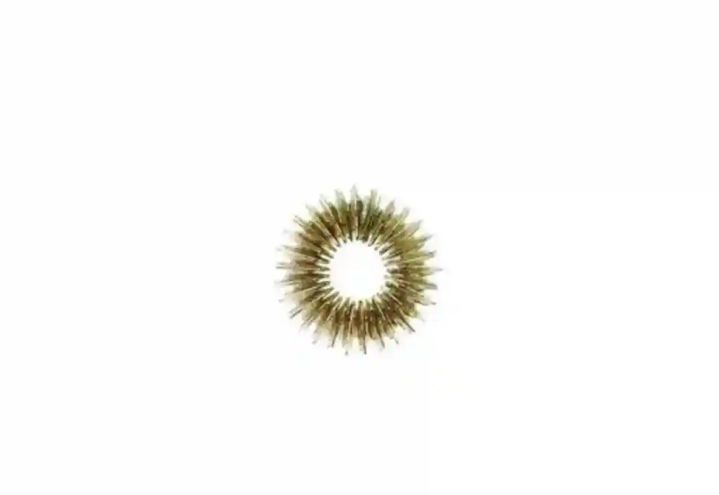 Arc / inel №3 100195 (8355)