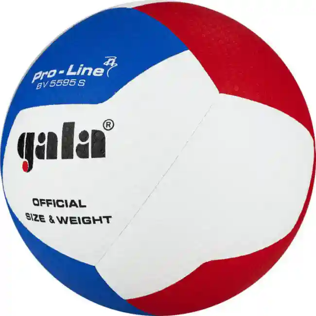 Minge volei №5 Gala Pro-Line FIVB Approved 5595 (8999)
