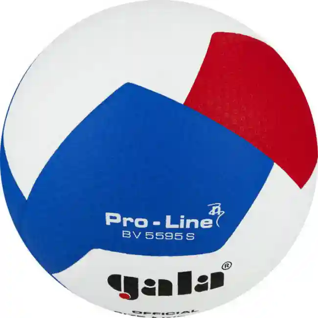 Minge volei №5 Gala Pro-Line FIVB Approved 5595 (8999)