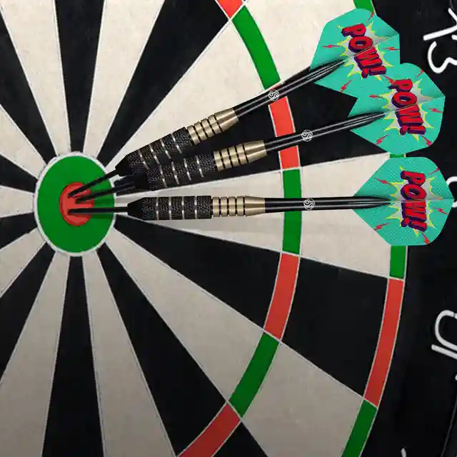 Ac darts (3 buc.) 24 g inSPORTline SH-SD3500-24 (11293)