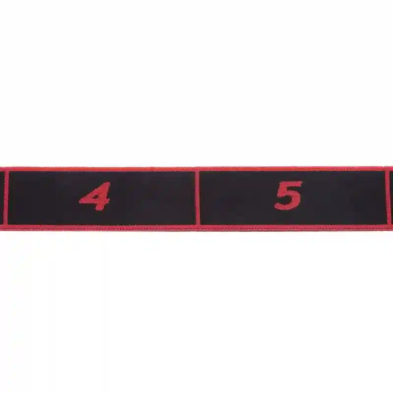 Expander lenta 90 cm Record Elastband FI-1719 (3312)
