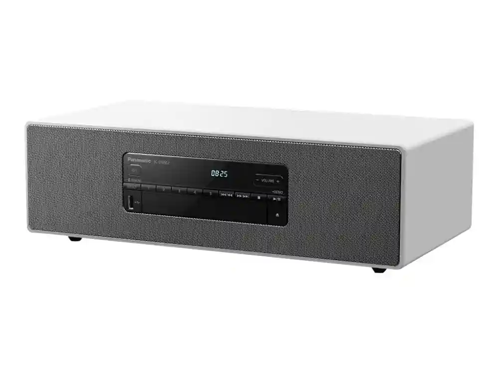 PANASONIC SC-DM502