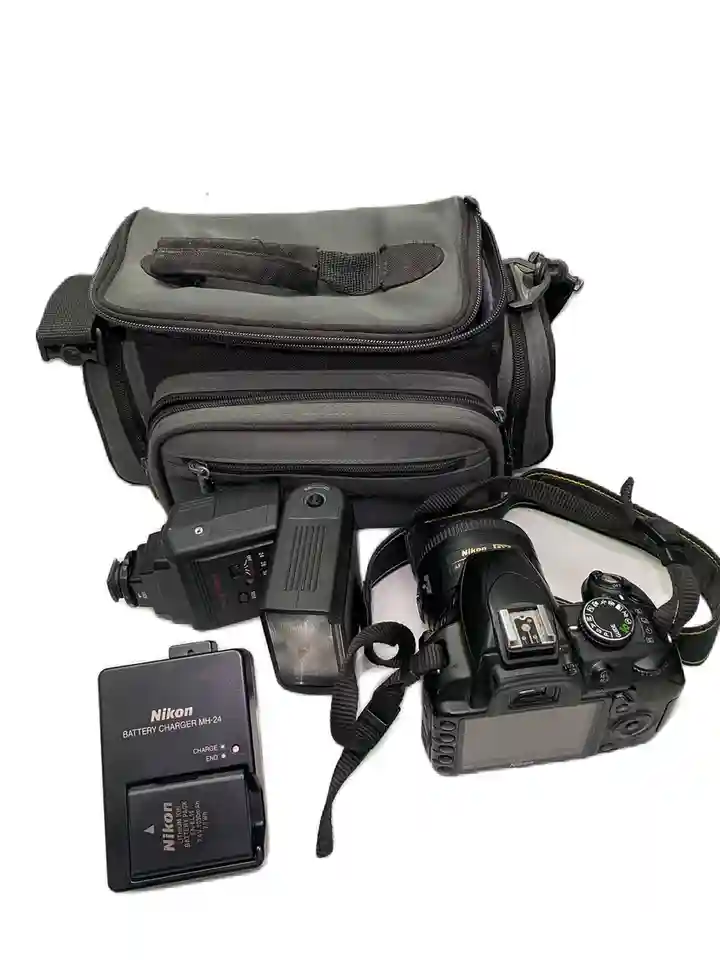 D3100