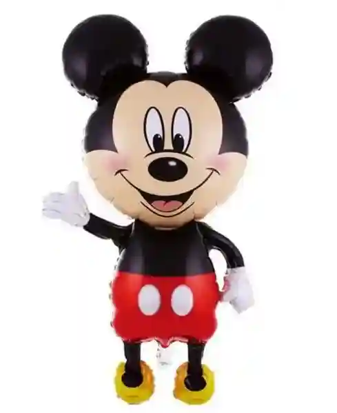Set Mickey Mouse