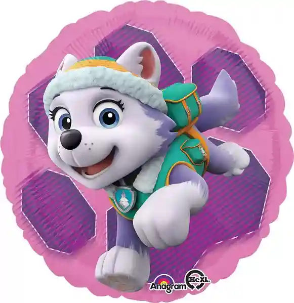Set Team Paw Patrule