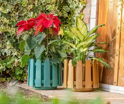Ghiveci ISTANBUL nr 3 cu separator de drenare apa Auriu