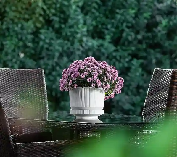 Ghiveci LUX nr 1 Alb