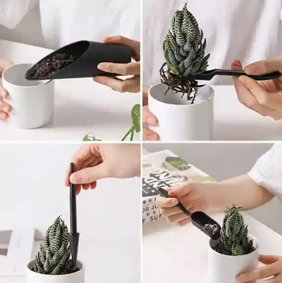 Set de unelte pentru cactusi Antracit