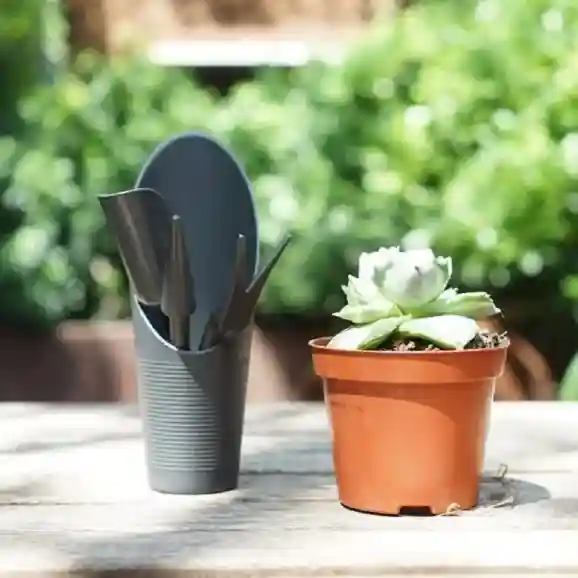 Set de unelte pentru cactusi Antracit