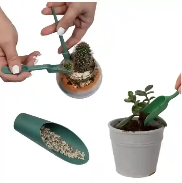 Set de unelte pentru cactusi Verde
