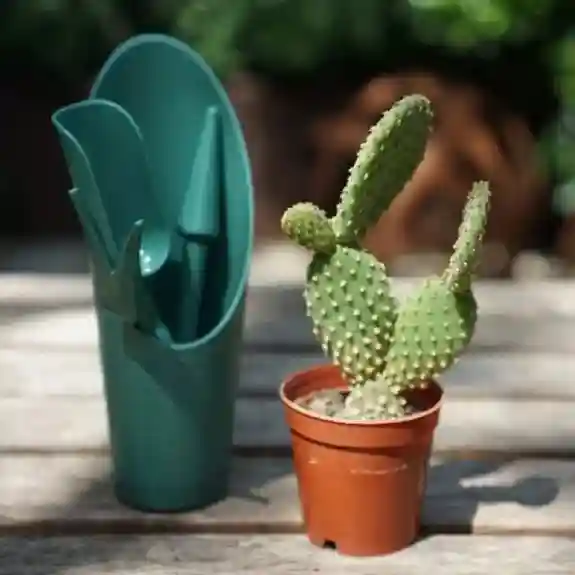 Set de unelte pentru cactusi Verde