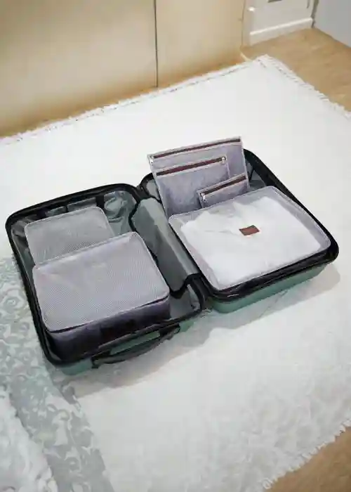 Set organizator pentru valiza de calatorii Felt Styles 6 buc Gri