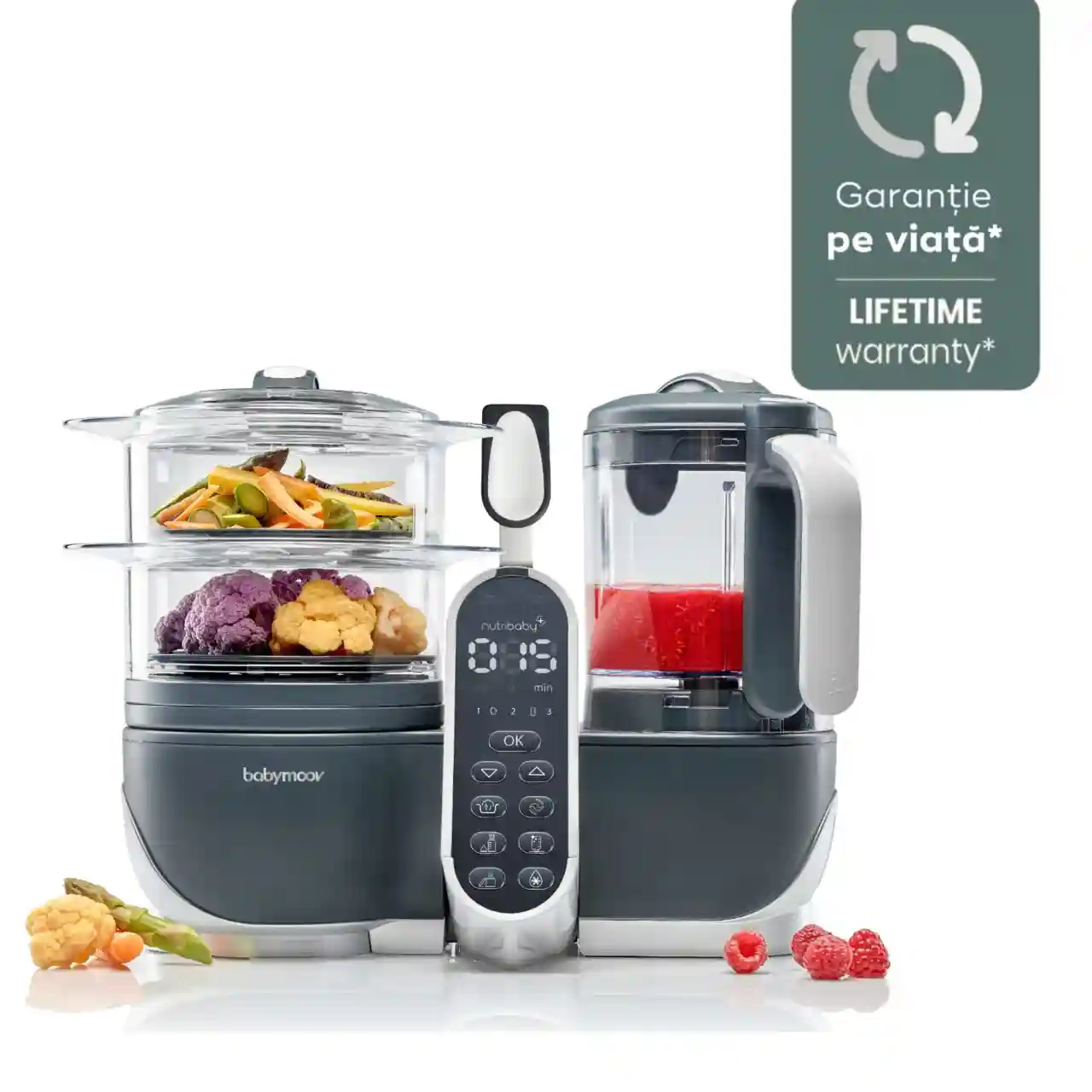 Babymoov Robot multifunctional 5 in 1 Nutribaby Industrial ,Grey