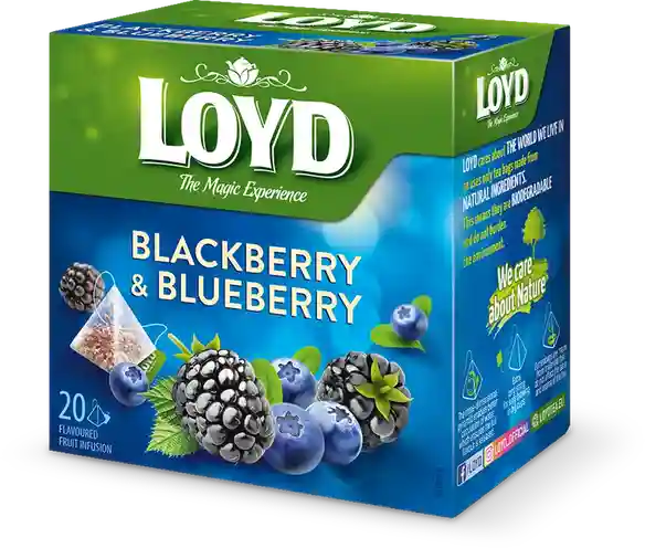 LOYD Blackberry & Blueberry, 20 пак.