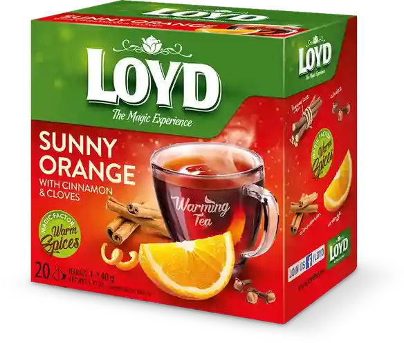 LOYD Warming Tea Sunny Orange with Cinnamon & Cloves, 20 пак