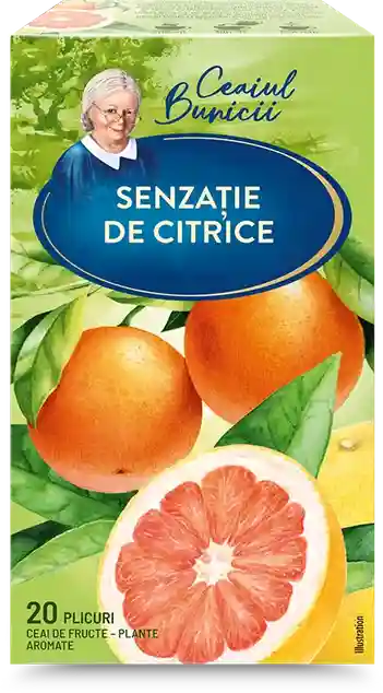GRANDMA'S TEA Citrus, 20 pac