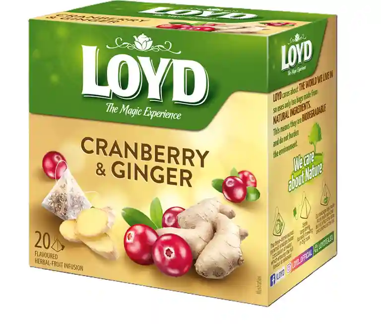 LOYD Cranberry & Ginger, 20 пак.